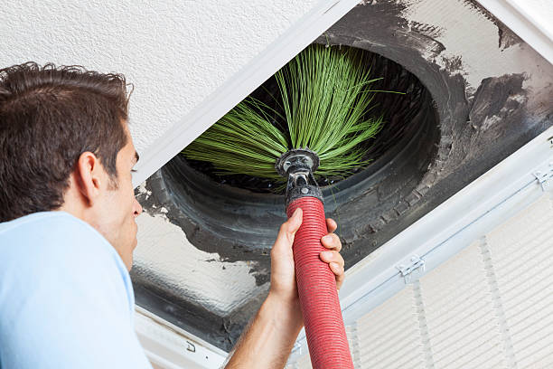 Best Commercial Air Duct Cleaning  in Alamosa East, CO