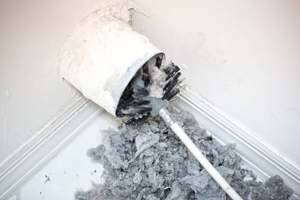 Best Air Duct Cleaning Company Near Me  in Alamosa East, CO